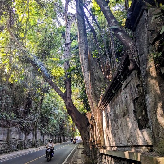 How to get from Padang Bai to Gili Trawangan. Street in Ubud